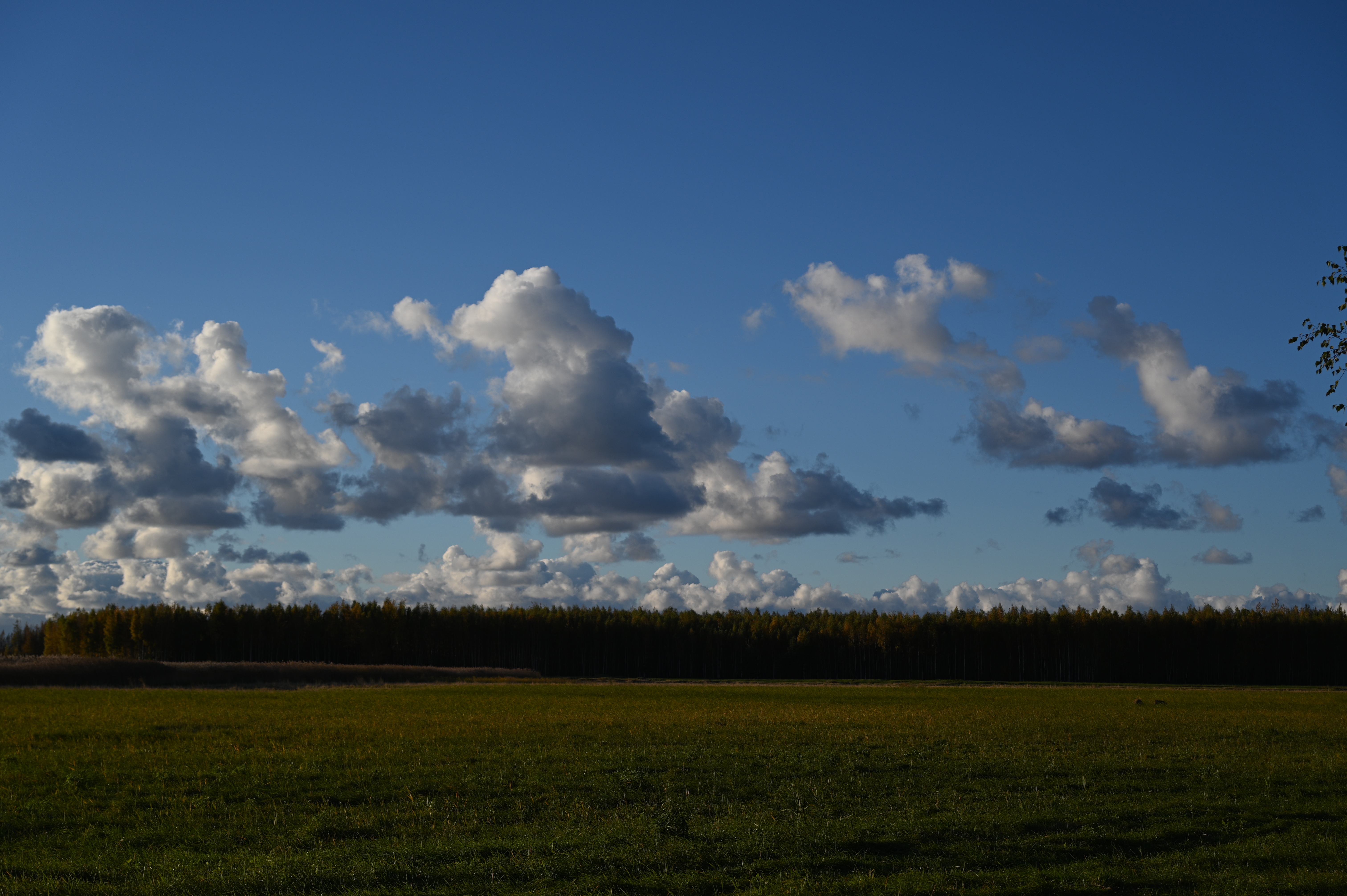 2025/10/18 - walk/DSC_0155.JPG